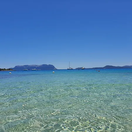 Casetta Blue A Due Passi Da Porto Rotondo 펜션 Rudalza